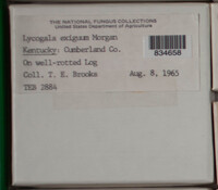 Image Associated With the Occurence